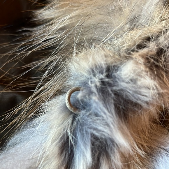Diomi Fur Vest Rabbit/Raccoon Reversible Collared Medium - Picture 5 of 15